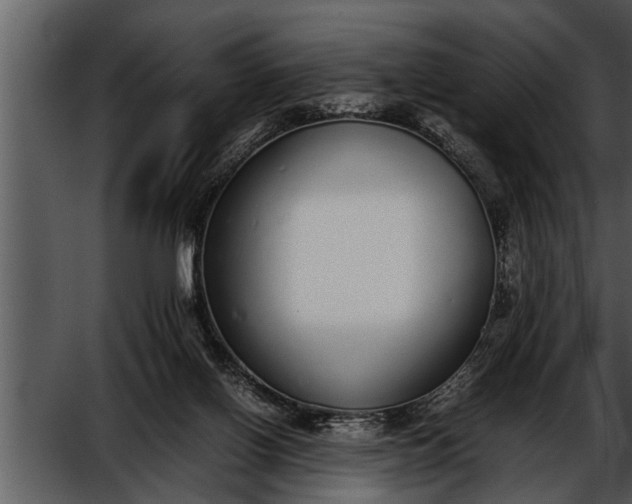 X0000052580070200507152329