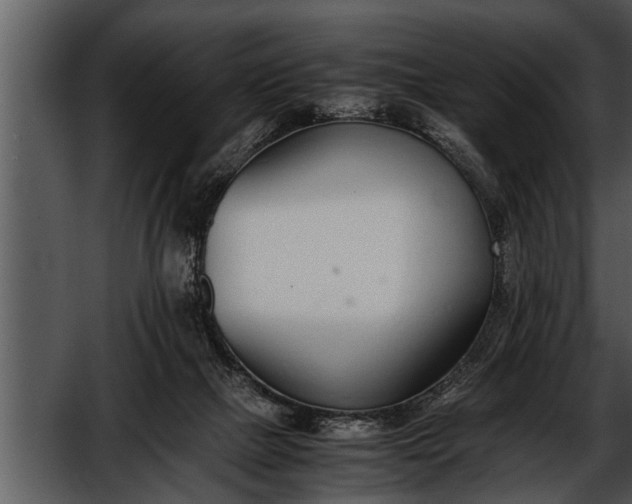 X0000052580073200507152329