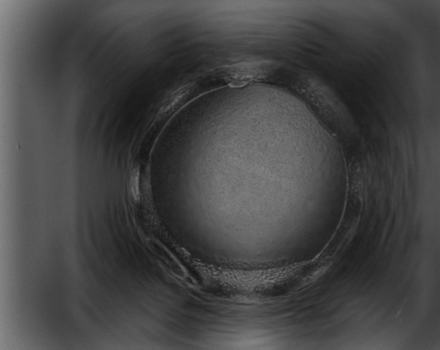 X0000052580076200507152329