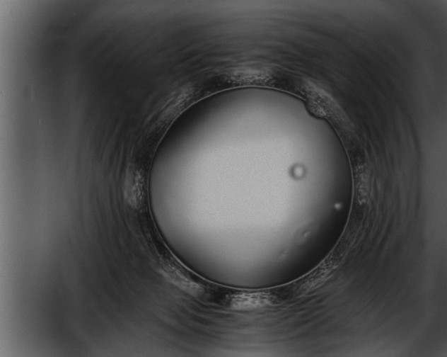 X0000052580077200507152329