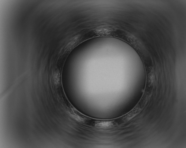X0000052580081200507152329