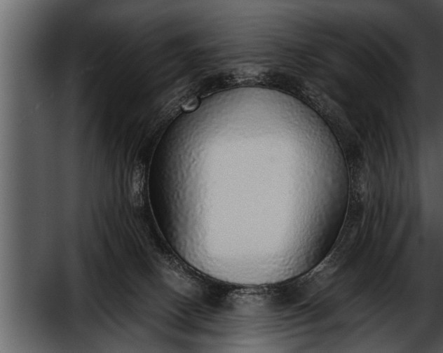 X0000052580082200507152329
