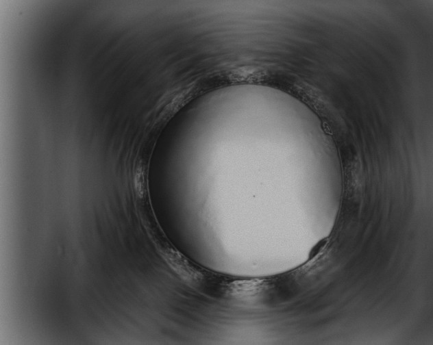 X0000052580090200507152330