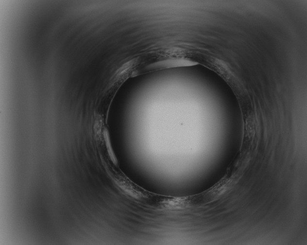 X0000052580092200507152330
