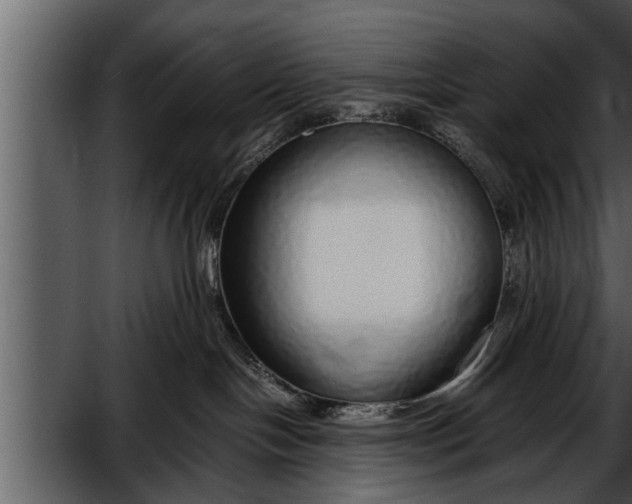 X0000052580094200507152330