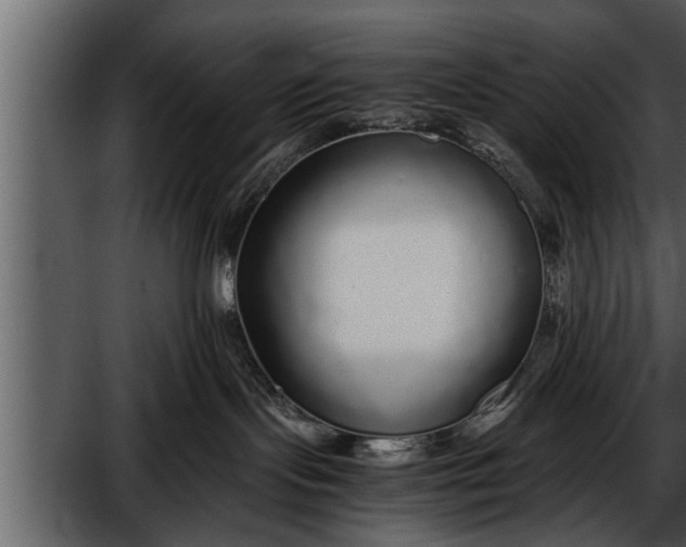 X0000052580095200507152330