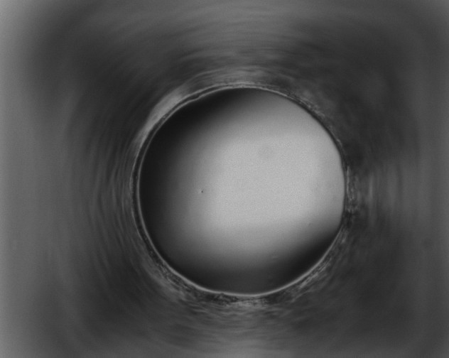 X0000052580099200507152329