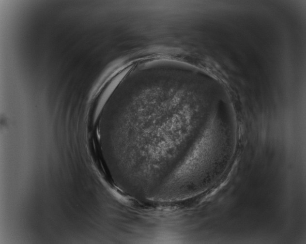 X0000052580101200507152329