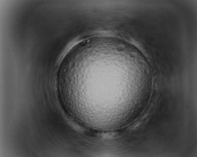 X0000052580103200507152329
