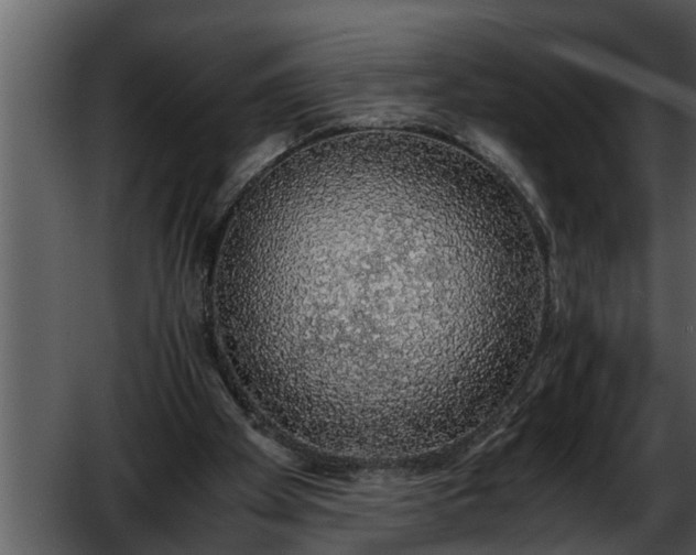 X0000052580105200507152329