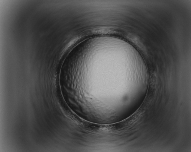 X0000052580111200507152329