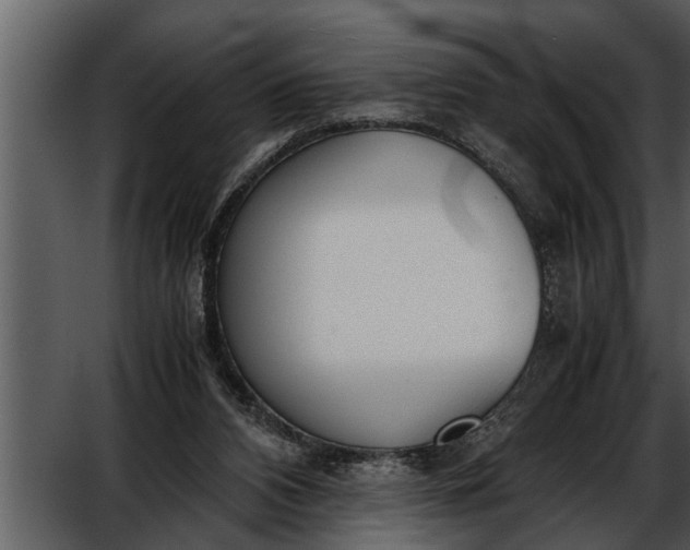 X0000052580112200507152329
