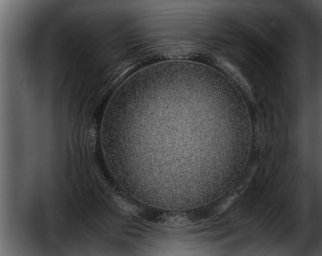 X0000052580113200507152329