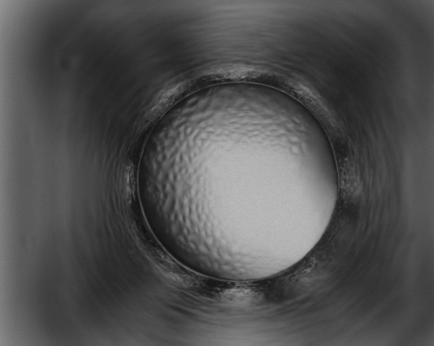 X0000052580119200507152329