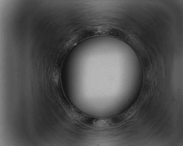 X0000052580129200507152328