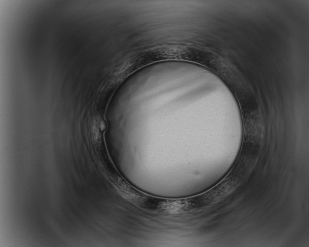 X0000052580131200507152328