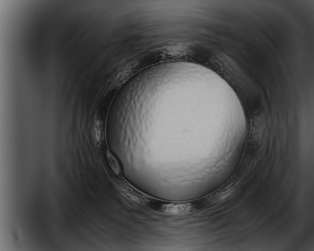 X0000052580135200507152328