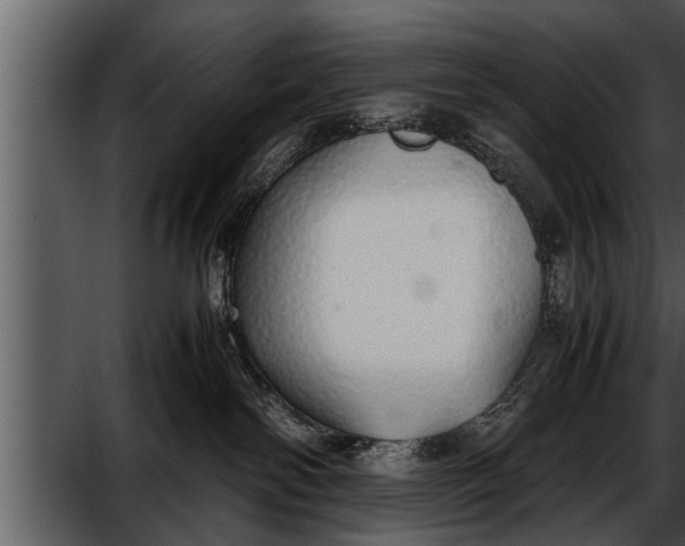 X0000052580138200507152328