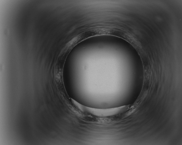X0000052580141200507152328