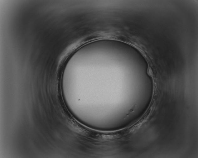 X0000052580149200507152327