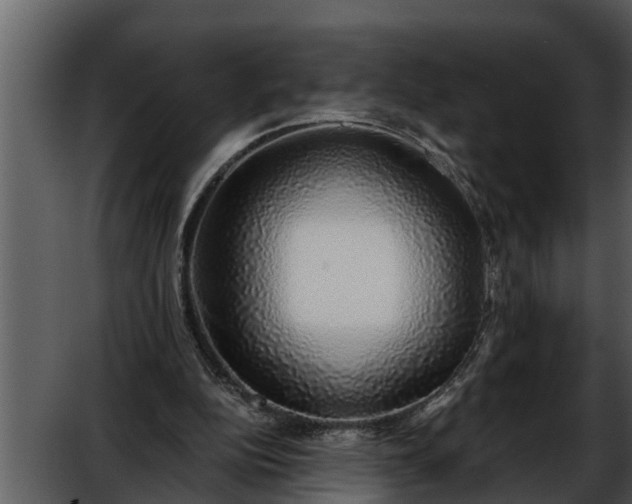 X0000052580152200507152327