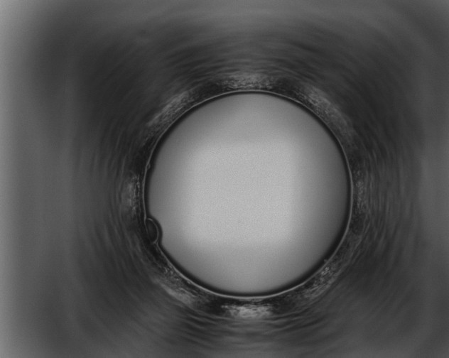X0000052580165200507152328