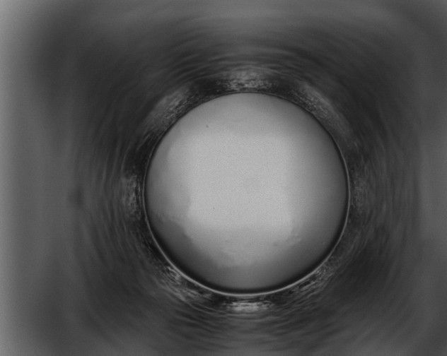 X0000052580169200507152328