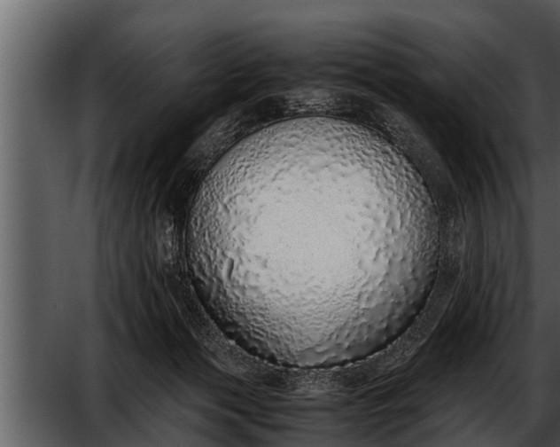 X0000052580173200507152328