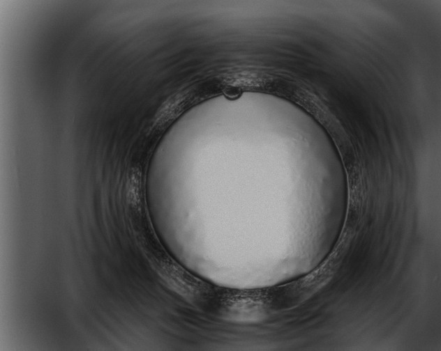 X0000052580175200507152328