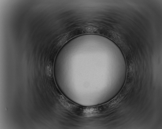 X0000052580177200507152328