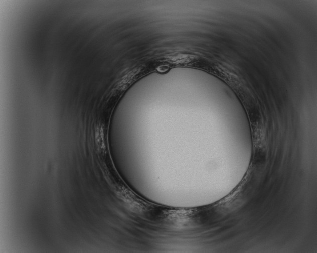 X0000052580182200507152328