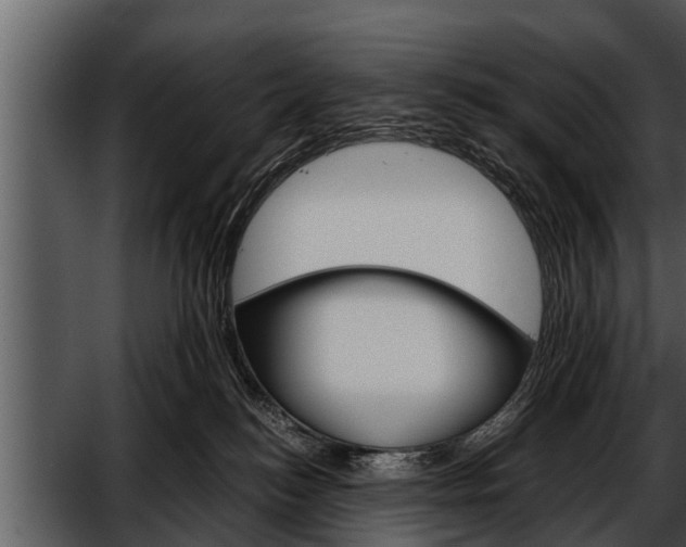 X0000052580184200507152328