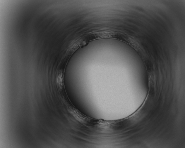 X0000052580190200507152328
