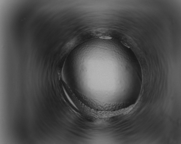 X0000052580192200507152328