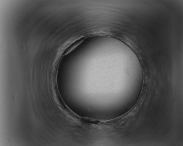 X0000052580193200507152327
