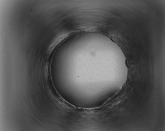 X0000052580194200507152327