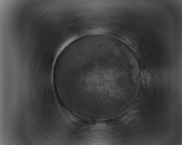 X0000052580196200507152327