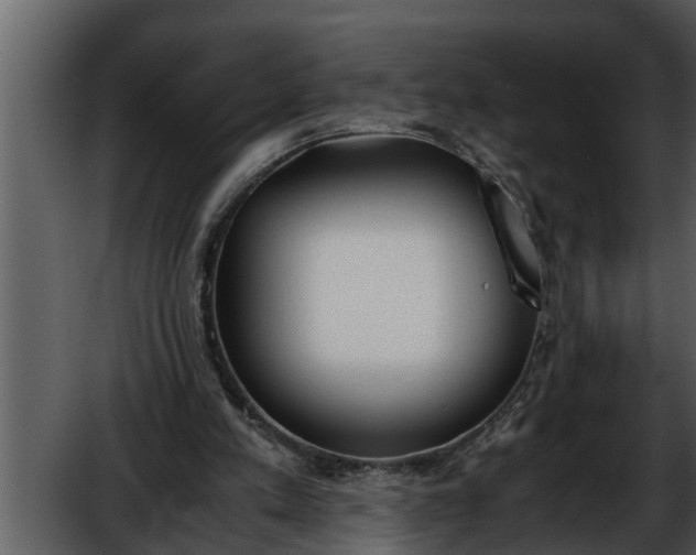 X0000052580197200507152327