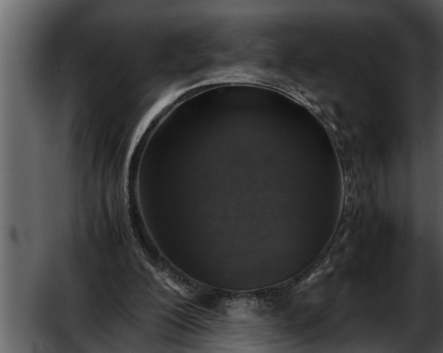 X0000052580200200507152327