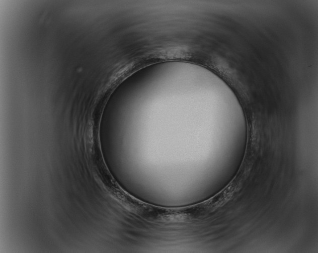 X0000052580202200507152327