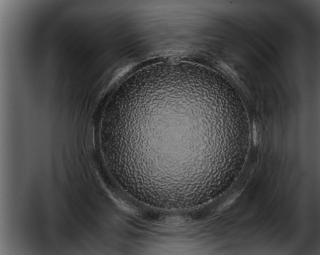 X0000052580205200507152327