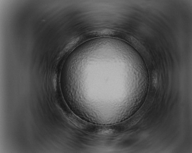 X0000052580206200507152327