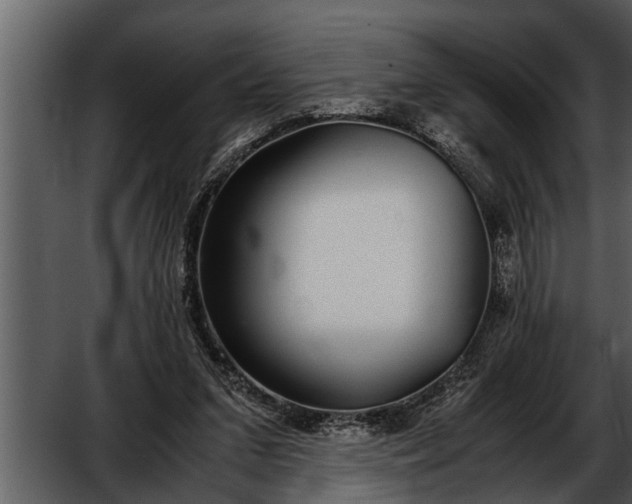 X0000052580207200507152327