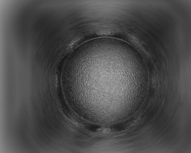X0000052580211200507152327