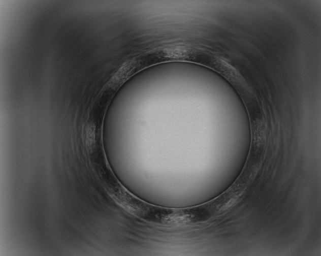 X0000052580213200507152327