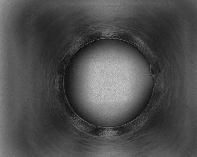 X0000052580217200507152327