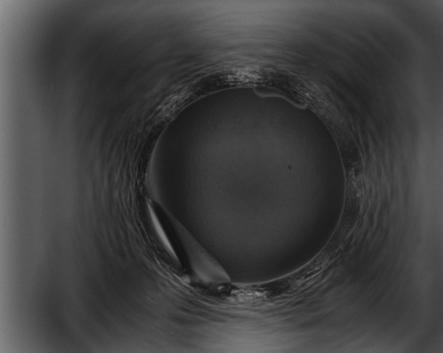 X0000052580223200507152327