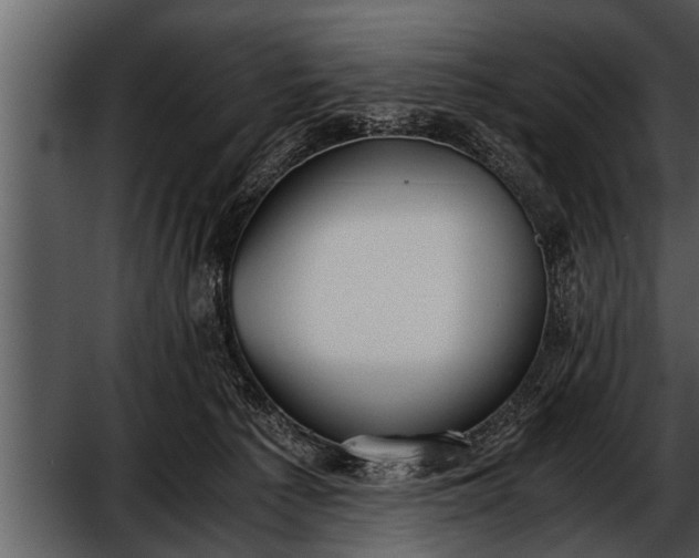 X0000052580225200507152327