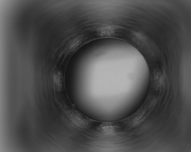 X0000052580228200507152327
