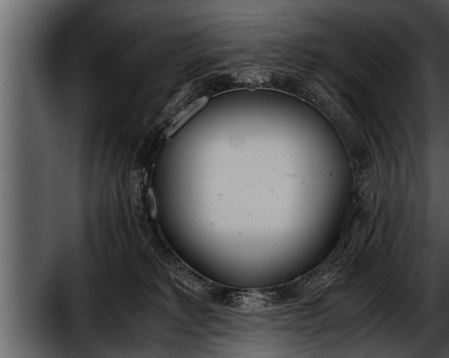 X0000052580229200507152327